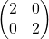 \begin{pmatrix} 2 & 0 \\ 0 & 2 \end{pmatrix}